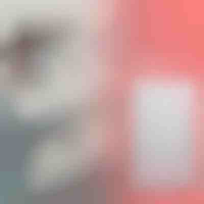 Raztegljiva polica za shranjevanje | SHELFEXPEND