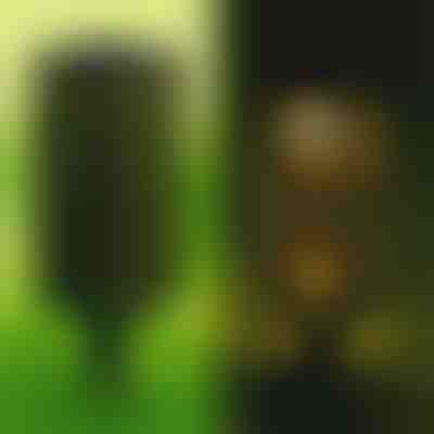 Solarna svetilka (2 kosa) | GARDENIAS